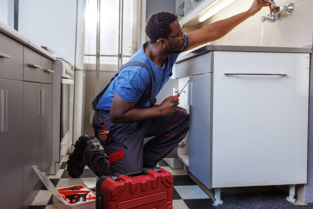 Best Plumbing System Maintenance  in Ronceverte, WV